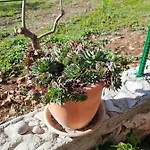 Ljulj Lägenhet Trogir