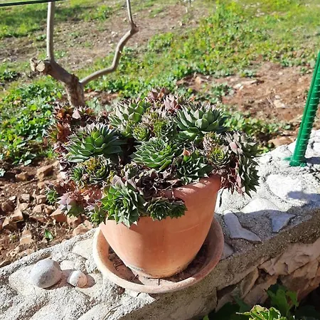Ljulj Lejlighed Trogir