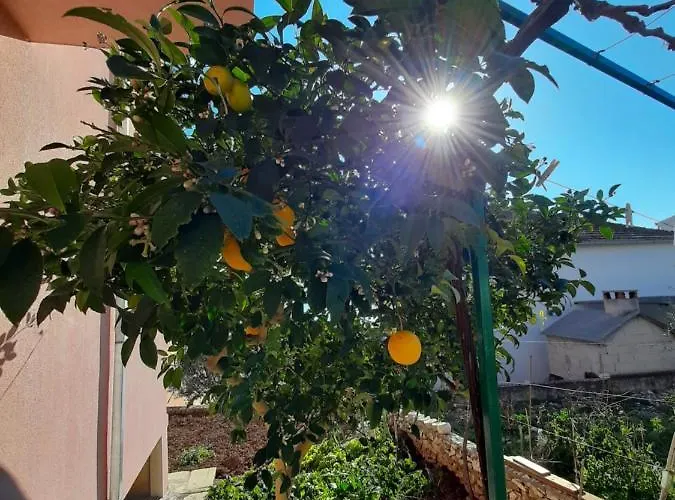 Ljulj Lejlighed